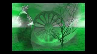 de buena rama y niña pastori (los hierros).wmv