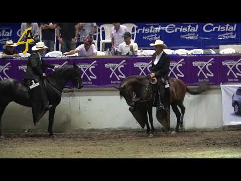 ESTRELLA DE AFRICA GC P4 ARMENIA A 2018