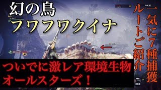 Mhw カセキカンスの入手方法と捕まえ方と出現場所 激レア環境生物トロフィー 生きた化石と遭遇 新大陸のヌシ モンスターハンターワールド シックの激レア環境生物捜索隊 تنزيل الموسيقى Mp3 مجانا