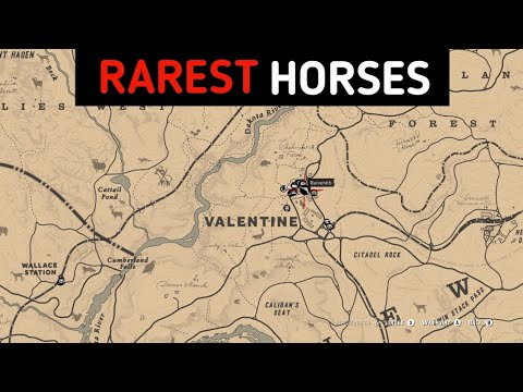 You'll Find These 2 Horses Only Once In The Entire Game - RDR2