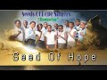Seeds Of Hope Nokwalikwendwa Amaulu