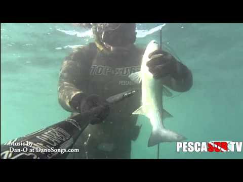 UN TIRO PIU' FACILE DI MOLTI ALTRI CON L'ARBALETE FUCILE SUBACQUEO: NON TI PARE? PescaSub TV