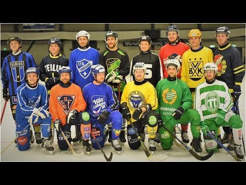 Svensk Elitbandy-Försäsongens Mästare/2018-2019/