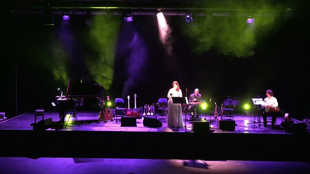 Hadi Alizadeh & friends هادی علیزاده