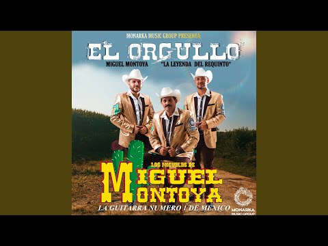 Los Plebes Atrevidos