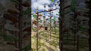 Route 66を走りながらElmer’s Bottle Tree Ranchへ立ち寄りました☺️とっても不思議で独創性の溢れる場所でした。#route66 #california
