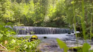 River in Slovenia (Just ONE of the Many) | Relaxing Video | SLOVENIA