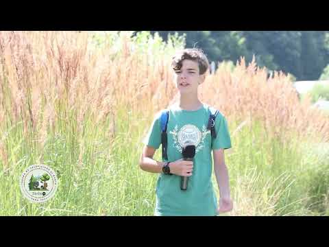 Cum ne echipăm de drumeție - Vlad Alexandru