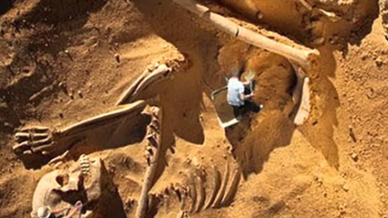 A Race of Giants - Trailer