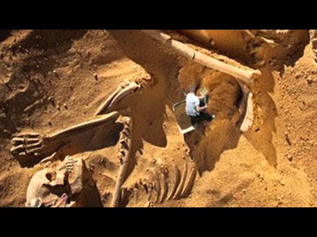 A Race of Giants - Trailer