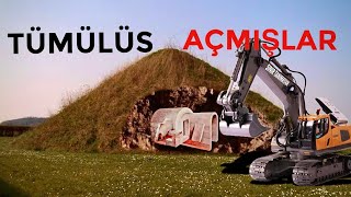 TÜMÜLÜS 'ÜN iÇ YAPISI