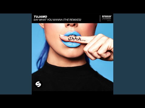 Say What You Wanna (Ali Bakgor Remix)