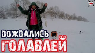 Зимняя рыбалка на голавль