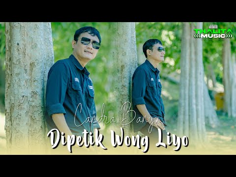 Candra Banyu - Dipetik Wong Liyo (Official Music Video Thalita Music)