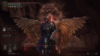 エルデンリングDLC 古竜セネサクス (ギザ山)【ELDEN RING SHADOW OF THE ERDTREE】