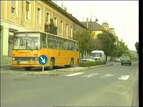 Erdőjáró magazin 2003. junius