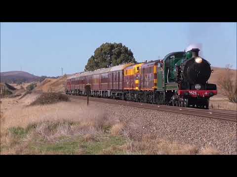 NSW steam locomotives
