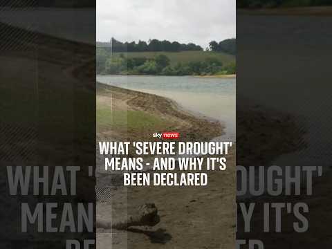 What 'severe drought' means - and why it's been declared