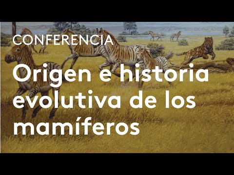 Origen e historia evolutiva de los mamíferos | Jorge Morales