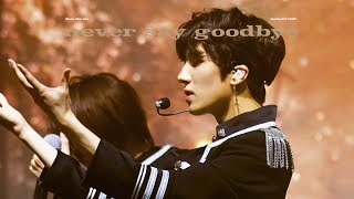 180721 SF9 FANCON NEVER SAY GOODBYE 찬희 FOCUS 4K