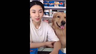 Put a LIKE If you LOVE it ?? | Pets Lovers ! Funny Animal