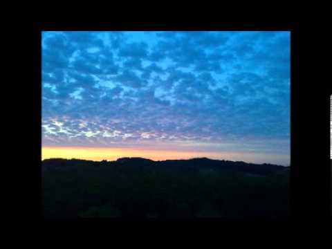 BlumenTopf :: 6m90 :: HIGHQUALITY