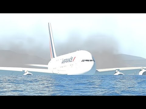Air France A380 Emergency Water Landing Due To Bird Strike, Airplane Crashes