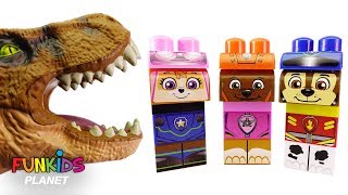 Learning Colors Video for Kids: Wrong Heads Paw Patrol Skye & Chase with T-Rex Dinosaur