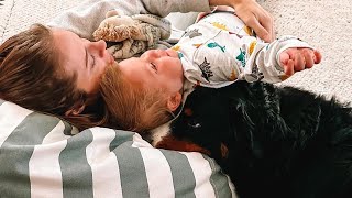 Holidays With A Bernese Mountain Dog And Toddler