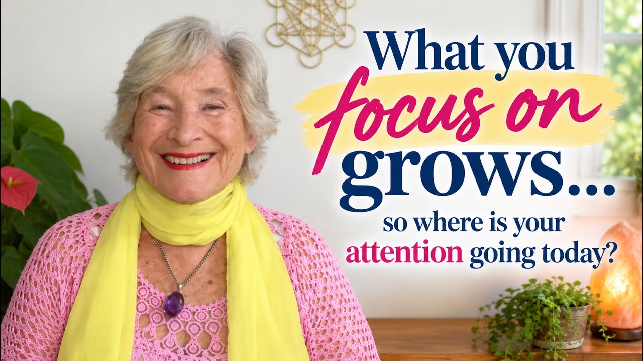 What you focus on grows… so where is your attention going today What you focus on grows… so where is your attention going today