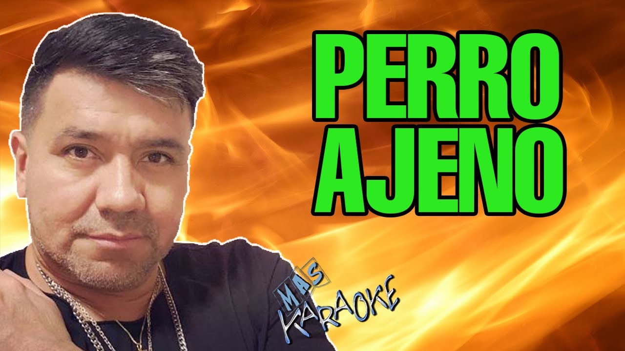 Perro Ajeno