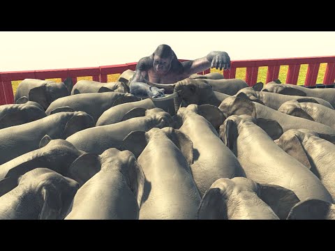 How Long Will Goro The Giant Hold Out Vs Modern Mammals ARBS |Animal Revolt Battle Simulator