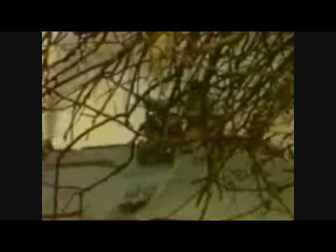 Lebanese Forces Sadem