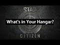Star Citizen - What Ships Do You Have, Want & Why ...