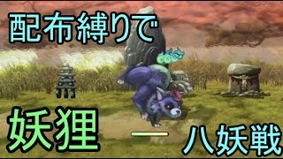 【アナデン】配布キャラ縛りで八妖戦その１「妖狸」戦【Live配信】