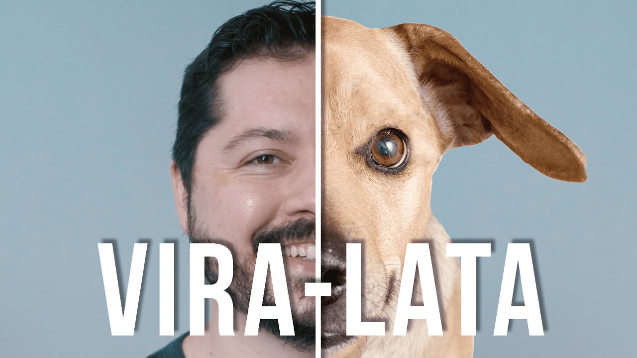 A origem do vira-lata caramelo