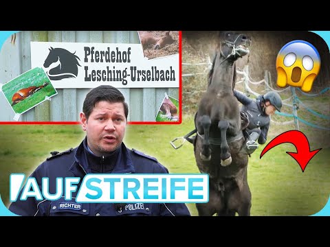 Leben ist kein Ponyhof: Wer hat den gezielten Anschlag auf die Reiterin verübt? | Auf Streife |SAT.1