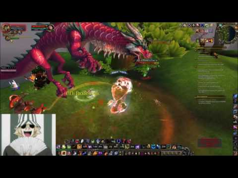 World pvp Enhancement shaman  6.2.4