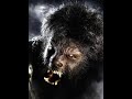 Saxon - Nighthunter (Wolf Man)