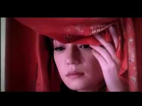 Vicki Zhao Wei MV  Realize (theme song of Moment in Peking)
