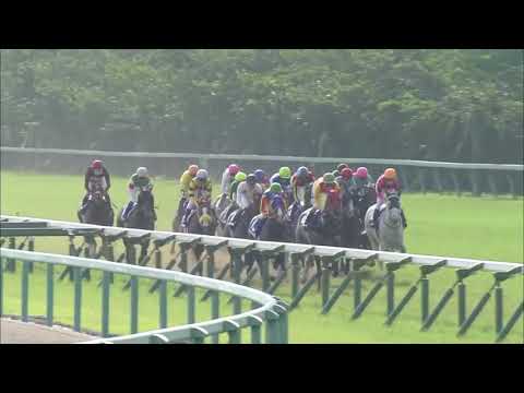 2018 Takarazuka Kinen International Group 1 2200m