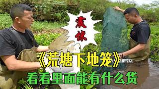 花500元在荒塘裏下10個地籠，看看裏面能有什麽貨 #小飛哥 #三農 #護外#新農人計劃2026 #鄉村守護人