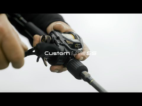 Lew's Custom L...