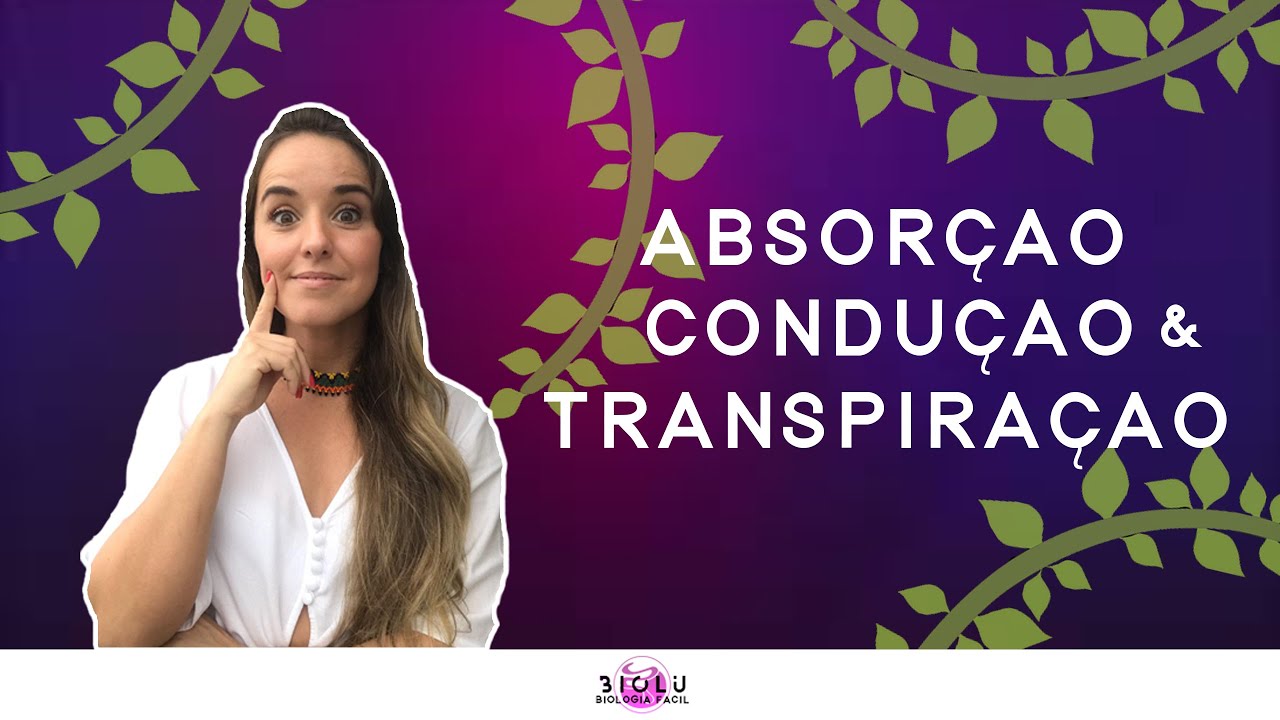 ABSORÇÃO, CONDUÇÃO E TRANSPIRAÇÃO VEGETAL l Prof. Louise Medeiros