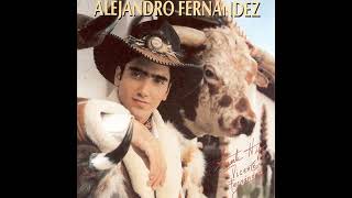Necesito Olvidarla - Alejandro Fernandez