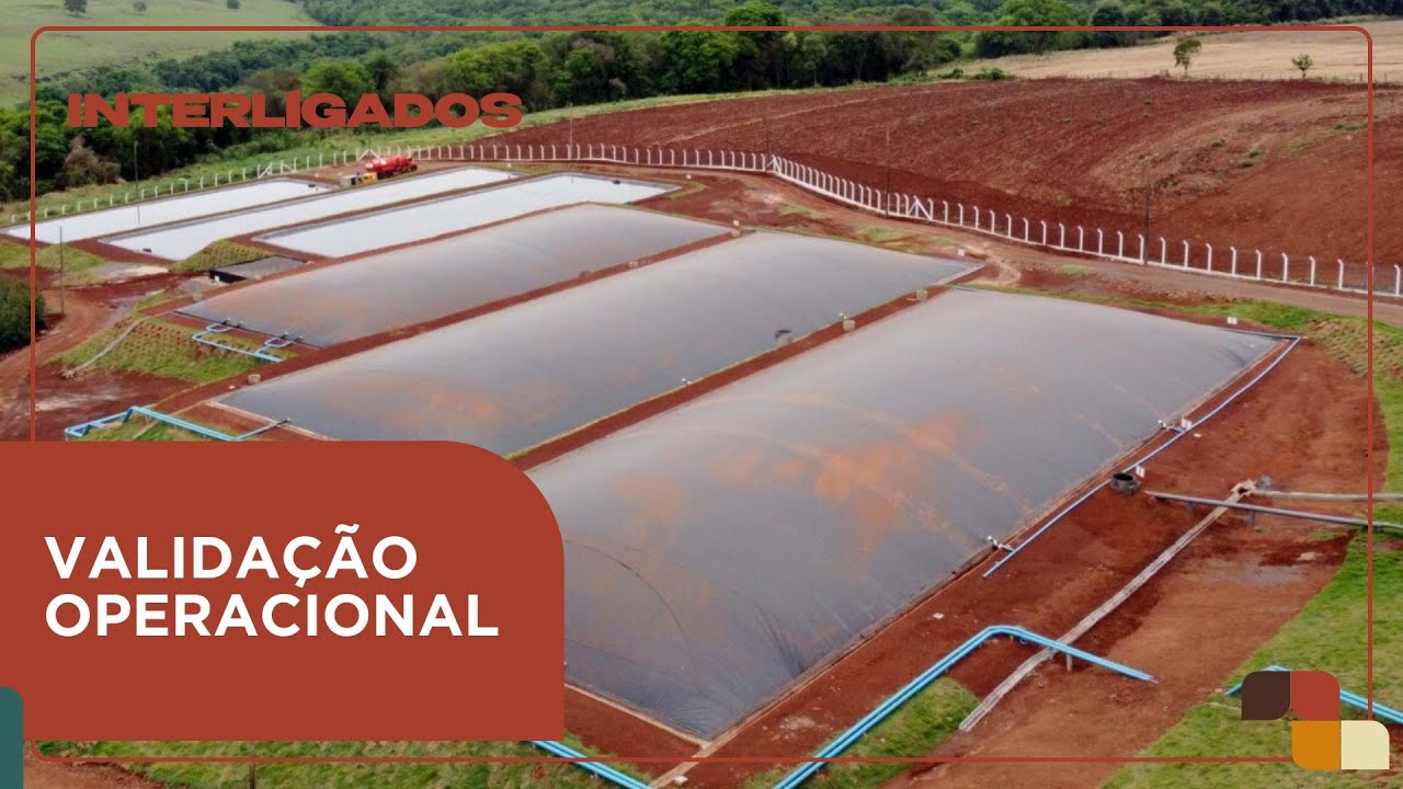 Como avaliar o desempenho do seu biodigestor e evitar perdas!