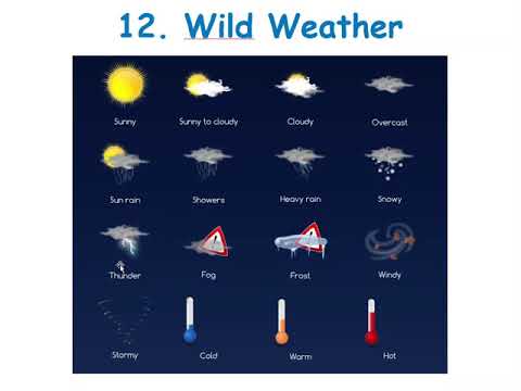 12. Weather level 5