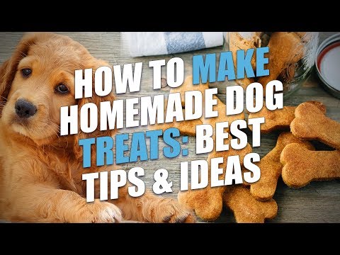 DIY Homemade Dog Treats: How to Make Healthy Treats for Dogs