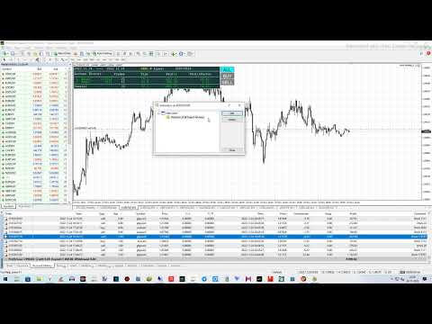 Video Statistics of all Expert Advisors