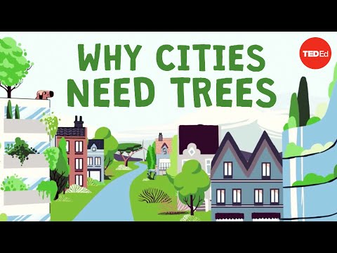 YouTube video about: What is meant by the phrase plants are green factories?
